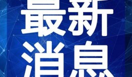 刘大锤最新爆料新闻视频,最新爆料新闻视频深度解析
