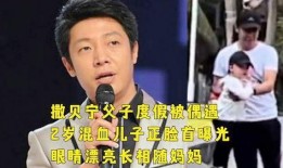 撒贝宁妈妈爆料视频在线观看,揭秘明星家庭背后的温馨故事