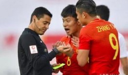 袁甲爆料裁判视频大全集