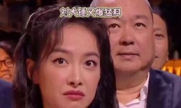 吃瓜网站明星网红视频,明星网红视频大揭秘