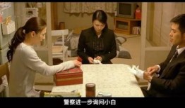 完美案件在线观看,在线揭秘悬疑重重的法庭对决