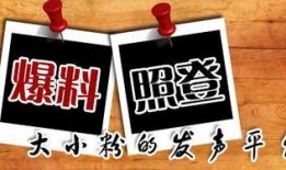 新闻爆料叫什么,揭秘神秘事件背后的真相