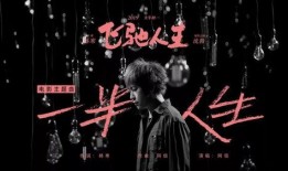 音乐爆料曲子大全视频,热门曲目大盘点