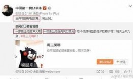 卓伟爆料陈牧驰视频全集,陈牧驰视频全集事件全解析