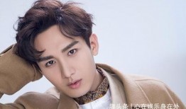 成毅娱乐圈深度爆料,娱乐圈背后的真实故事与深度爆料