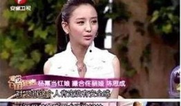 陈思成杨幂最新爆料,揭秘幕后真相与情感纠葛