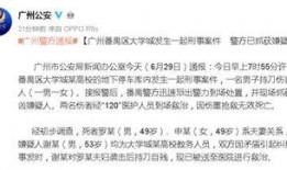 广州大学城爆料案件最新,真相揭秘，校园安全再引关注