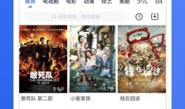 在线视免费观看,免费在线视频平台推荐