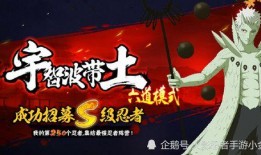 五月高招s官方爆料最新,热门专业、录取政策全解析”