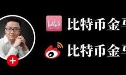 澳本聪最新爆料,揭秘比特币创始人身份之谜