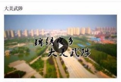 武陟新闻爆料,最新爆料揭示当地热点事件详情