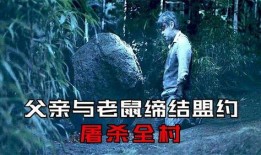 隐秘的来客在线观看,揭秘神秘事件背后的真相