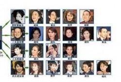 何鸿燊遗产爆料视频播放,视频爆料揭示巨额遗产分配之谜
