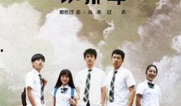 在线观看《匆匆那年》,青春回忆录，时光匆匆，爱恨交织