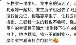 免费吃瓜资源群,畅享娱乐盛宴的秘密通道