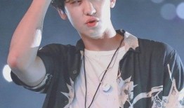 灿烈被熟人爆料视频大全,独家幕后故事全收录