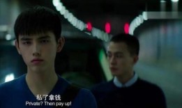 秘果电视剧在线观看完整版免费,揭秘青春校园的禁忌之恋，免费在线观看完整版！