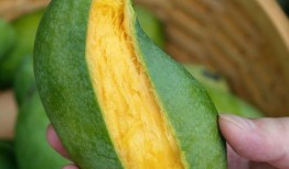 芒果老王爆料视频大全,视频大全精彩瞬间回顾