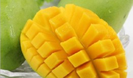 芒果老王爆料视频大全,视频大全精彩瞬间回顾