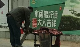 爆料马路要钱大叔视频大全,揭秘街头收费现象背后的真相