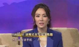 陈数最新爆料消息新闻,揭秘演艺圈幕后真相