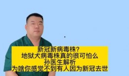 新冠医生爆料新闻视频播放,揭秘疫情背后的真实情况