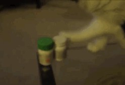 娱乐爆料君树林,揭秘娱乐圈幕后故事