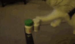 娱乐爆料君树林,揭秘娱乐圈幕后故事