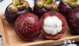 娱乐吃瓜酱山竹,娱乐吃瓜酱的神秘魅力揭秘