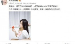 网友爆料巧克力事件视频,揭秘食品安全背后的惊人真相