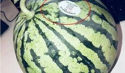 吃瓜知名 网红是谁啊,吃瓜群众热议的知名网红是谁？