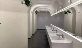 广州卫生间爆料视频最新,揭秘卫生问题背后的真相