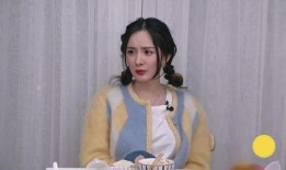杨幂娱乐八卦爆料,揭秘明星背后的故事与争议