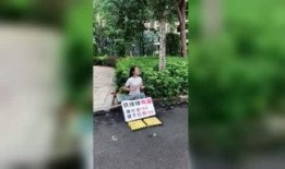 娱乐爆料君树林,揭秘娱乐圈幕后故事
