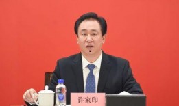 许家印负债新闻爆料视频,揭秘恒大集团债务危机真相