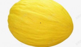 甜瓜最新爆料下载安装,揭秘下载安装背后的秘密与技巧