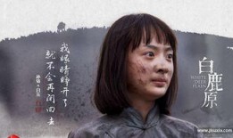 在线观看白鹿原全集,穿越时空的家族史诗
