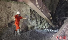 芒果老王爆料视频大全,视频大全精彩瞬间回顾