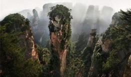 张家界跟团爆料视频最新,真实体验与幕后花絮大曝光