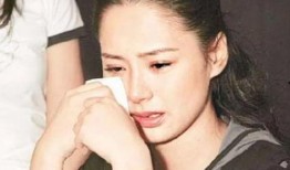 吃瓜网站明星网红视频,明星网红视频大揭秘