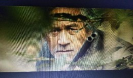 狩猎者电影在线观看,追踪真相的惊悚之旅