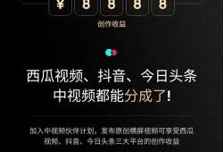 抖音爆料如何处置流程视频,从举报到封禁的每一步