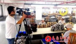 陕西1套直播在线观看,实时捕捉精彩瞬间，尽享视听盛宴