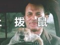 土拨鼠之日在线观看,穿越时空的奇妙循环