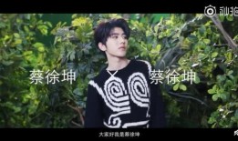 谁先爆料的蔡徐坤视频,揭秘偶像背后的故事