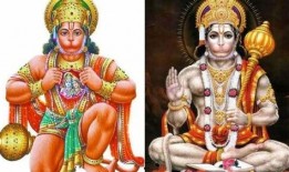 猴神在线观看,揭秘网络红人的崛起之路