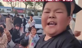 好好的曰视频在线观看,揭秘生活智慧与趣味瞬间
