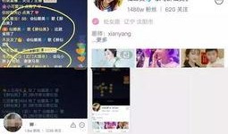 仙家娜美爆料视频大全,揭秘娱乐圈幕后真相