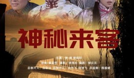 隐秘的来客在线观看,揭秘神秘事件背后的真相