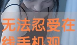无法忍受在线手机观看,揭秘无法忍受的痛点与解决方案